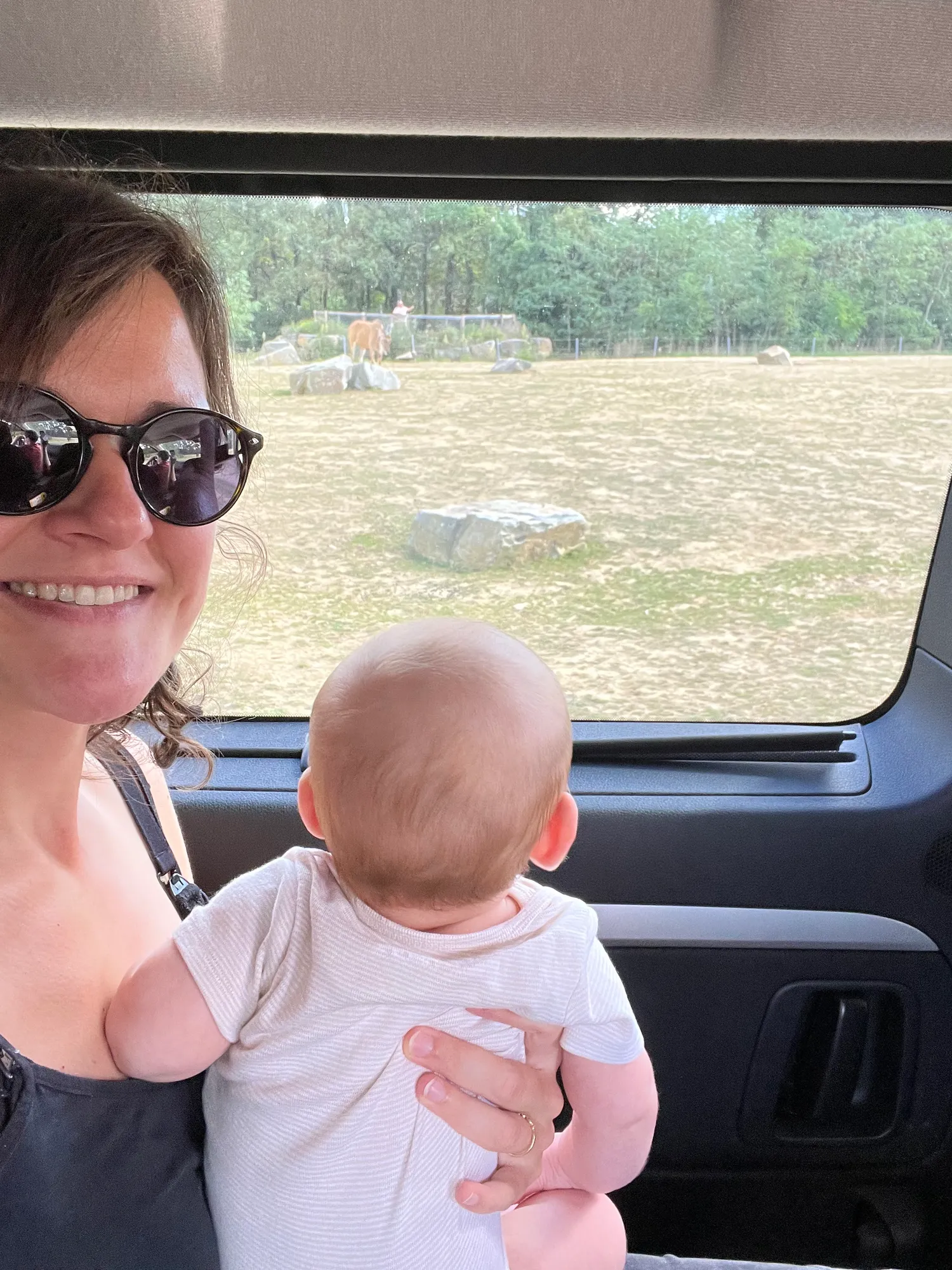 Planète Sauvage, le parc safari à voir en voiture avec des enfants